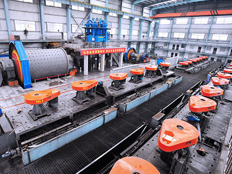 1200T/D Flotation Plant for Gold Ore in Cambodia